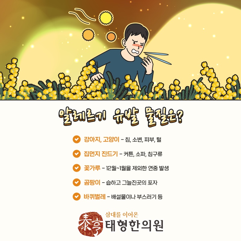 하루 종일 이어지는 알레르기비염 코 가려움 살펴보기