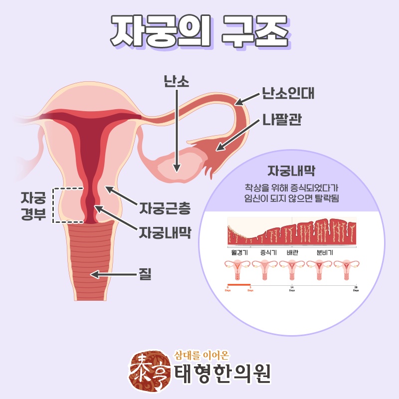 생리 기간 통증이 반복될 때 확인할 신체 변화