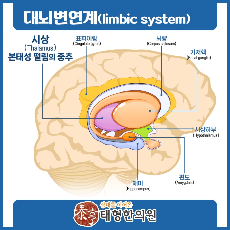 의도와 무관하게 나타나는 본태성떨림의 특징