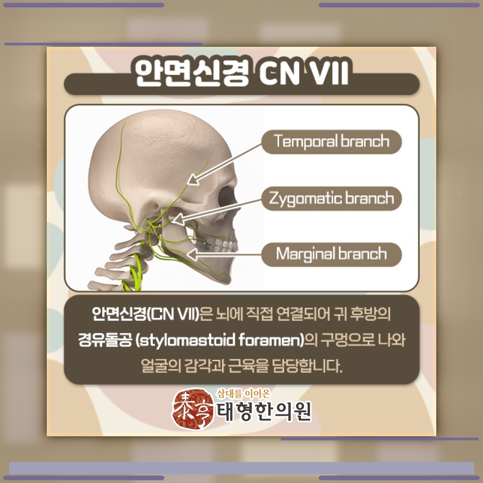한쪽 얼굴 움직임이 달라질 때 살펴보는 안면신경마비