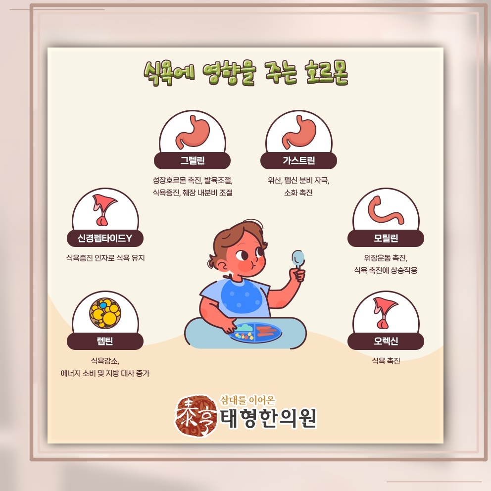 식욕부진으로 식사량이 줄어드는 원인과 건강 신호