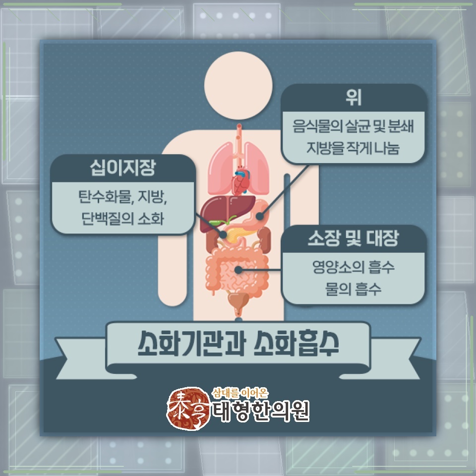 반복되는 복통과 배변 변화로 살펴보는 과민성대장증후군